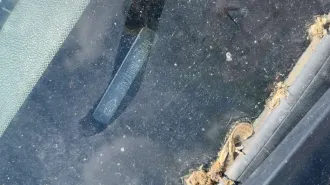 Hyundai Solaris 2020 года выпуска. Автомобиль марка Hyundai Solaris год изготовления 2020 цвет белый VIN Z94K241BBMR239040 двигатель № G4LCKD147825 кузов № Z94K241BBMR239040 экологический класс пятый.