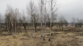 Аренда земельного участка 1 500 кв.м. ИЖС в Рузском м.о. (КН 50:19:0040307:1017) Аренда земельного участка 1 500 кв.м. ИЖС в Рузском м.о. (КН 50:19:0040307:1017) 
Площадь земельного участка: 1500 
Кадастровый номер земельного участка: 50:19:0040307:1017 
Вид разрешённого использования земельного…
