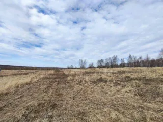 Земельный участок, площадь 168800 +/- 3600 кв.м., адрес (местонахождение): Россия обл. Тульская, р-н Ленинский, с. Алешня, примыкает к восточной части, Федоровское с/п., кадастровый (условный) номер: 71:14:040101:45, категория земель: Земли промышленности, энергетики, транспорта, связи…