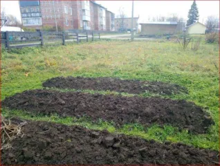 Земельный участок 385 кв.м в Республике Коми, Прилузский район, с. Объячево. Участок расположен в восточной части кадастрового квартала. Категория земель: земли населенных пунктов. Разрешенное использование: для ведения личного подсобного хозяйства. Кадастровый номер: 11:01:5901005:221.