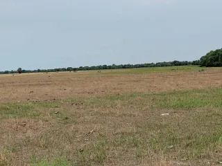 Земельный участок площадью 241600 кв.м, Астраханская область, 1/4 доли, кадастровый номер 30:02:000000:1253, вид разрешенного использования - для сельскохозяйственного производства. Расположен в Володарском районе, в границах землепользования колхоза им. Курмангазы, примерно в 2,0 км на восток от…