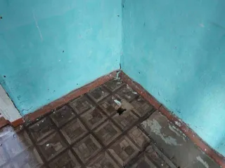 1/3 Доля дома 60 кв.м и 1/3 доля участка 3000 кв.м, Новосибирская обл., с. Сурково. Право общей долевой собственности (доля в праве – 1/3) на жилой дом, назначение: жилое, общей площадью 60 кв.м., этажность: 1, в т.ч. подземных этажей – 0, кадастровый №54:24:050901:101, расположенный по адресу…