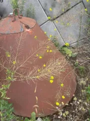 Металлоформа ВК 7.5-15