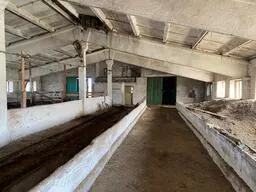 Нежилые здания: 
Коровник - 1 098,1 кв. м, кадастровый номер 67:03:1620101:512,
Сенной склад - 1 083 кв. м, кадастровый номер 67:03:1620101:391, 
Силосная траншея - 1 014,9 кв. м, кадастровый номер 67:03:1620101:514, 
Телятник - 628,9 кв. м, кадастровый номер 67:03:1620101:526,
Склад - 410,7…