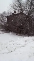 Квартира 34,9 кв.м, Кировская область, Верхошижемский район, деревня Большие Кулики, улица Труда, дом 29, квартира 3. Жилое помещение, 1 комната, 2 этаж. Кадастровый номер: 43:06:330101:242, вид собственности: индивидуальная.