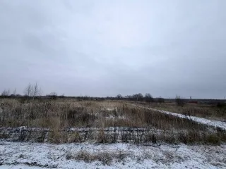 Земельный участок 600 кв.м в Московской области, городской округ Раменский, деревня Аргуново. Кадастровый номер: 50:23:0050573:1513. Площадь: 600 +/- 17 кв.м. Категория земель: сельскохозяйственного назначения. Вид разрешенного использования: для ведения садоводства.
