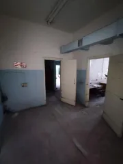 Нежилое помещение 777.9 кв. м. Белгородская область, г. Белгород, ул. Горького, д. 60. Кадастровый номер: 31:16:0101001:9934. Помещение расположено на этажах: подвал, 1. Назначение: нежилое. Виды разрешенного использования: нежилое. Ограничения прав и обременения не зарегистрированы. Кадастровый…