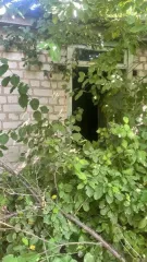 Нежилое здание, 25.2 кв.м, Краснодарский край Объекты недвижимости с кадастровыми номерами: 23:44:0304041:412; 23:44:0206045:1637 по адресу: Краснодарский край, м.р-н Кавказский, г.п. Кропоткинское, г. Кропоткин, ул Пушкина, д. 103 Количество подземных этажей : 0 Общая площадь: 25.2 Кадастровый…