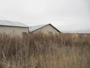 Здание нежилое (залоговое имущество), площадью 706,90 кв.м., адрес: Воронежская обл., Ольховатский р-н., Караяшниковское сельское поселение, северная часть кадастрового квартала 36:18:5500005, кадастровый номер 36:18:5500005:171.