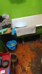 1/4, 1/4, 1/4 доли квартиры, 10 кв. м, Республика Башкортостан 1/4 доля квартиры в Башкортостане еще 1/4 доля квартиры в Башкортостане еще 1/4 квартиры, расположенной по адресу: Российская Федерация, Республика Башкортостан, муниципальный район Калтасинский, сельское поселение Краснохолмский…