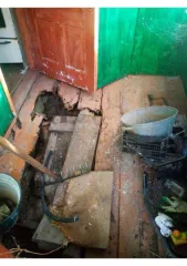Земельный участок 500 кв.м, Брянская обл, сдт Березка. Адрес: Брянская обл, г Новозыбков, сдт Березка, категория земель: Земли населенных пунктов, разрешенное использование: для ведения садоводства, кадастровый номер: 32:31:0050201:8, на земельном участке расположено незарегистрированное строение.