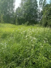 Установка ультразвуковая MAR-TES