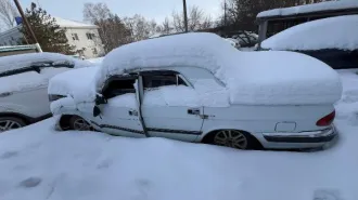 Автомобиль ГАЗ 3110, 2002 г/в, цвет белый, г/н У 282 КТ 56, VIN XTH31100021094385. Автомобиль имеет следы эксплуатации такие как потертости лакокрасочного покрытия на кузове автомобиля, имеются загрязнения подкапотного пространства и салона автомобиля. Возможны скрытые дефекты. Проверку истории…