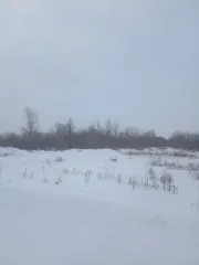 Земельный участок из состава земель населенных пунктов  с кадастровым номером 55:36:030117:1026 Местоположение земельного участка: Местоположение установлено относительно ориентира, расположенного за пределами участка. Ориентир здание. Участок находится примерно в 850 м, по направлению на…