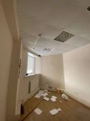 Нежилое помещение 46,4 кв.м, Новосибирская обл. помещение в Новосибирской обл., 46,4 кв.м, еще помещение в Новосибирской обл., 46,4 кв.м, еще нежилое помещение №14 (офисное) 46,4 кв.м. Местонахождение: Новосибирская обл., г. Бердск, Речкуновская зона отдыха, тер. МК «Сибиряк», корпус 1, пом. 14…