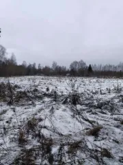 Земельный участок с кадастровым номером 67:22:0210101:35, общей площадью 20700 кв.м., расположенный по адресу: Смоленская область, р-н. Хиславичский, д. Слобода (Упинский с/о), Упинское.