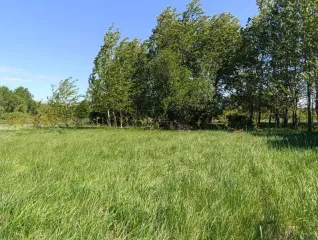 Земельный участок 64 000 кв.м, Калининградская обл., Гурьевский р-н. Земельный участок - 64 000 +/- 2 214 кв. м, адрес: местоположение установлено относительно ориентира, расположенного в границах участка, почтовый адрес ориентира: Калининградская обл., Гурьевский р-н, ТОО «Прибрежное-1»…