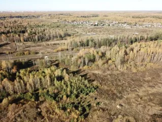 Земельный участок, кадастровый номер: 50:16:0502056:441, находящийся по адресу: Московская обл., Ногинский р-н, ЗАО «Электростальское». Виды разрешенного использования объекта недвижимости: пищевая промышленность. Площадь: 44142 +/- 147,07 кв.м. Находится в залоге у Morskoi Bank (AO).