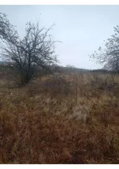 Земельный участок площадью 600 кв.м, расположенный по адресу: Курская область, Курский район, Полевской сельсовет, ул. Набережная, д. 143. Кадастровый номер: 46:11:150206:648. В Едином государственном реестре недвижимости отсутствуют сведения о местоположении границ земельного участка. Регистрация…