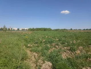 Продажа земельного участка, изъятого по суду, с адресным ориентиром: город Москва, вн.тер.г. муниципальный округ Краснопахорский, квартал 172, земельный участок 9 площадью 15 000 кв.м,  кадастровый номер: 50:27:0020331:96 Продажа земельного участка, изъятого по суду, с адресным ориентиром: город…