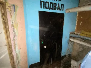 Нежилое помещение Н3, 471,2 кв.м, Алтайский край. Нежилое помещение Н3 в подвале общей площадью 471,2 кв.м по пр-кту Ленина, 65 с кадастровым номером 22:63:040413:2663. Год ввода в эксплуатацию: 1956. Вид ограничений и обременений: в соответствии с информационным сообщением. Кадастровый номер…