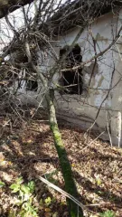 Участок 3900 м² и дом 40.4 м² в селе Нагольное, Пристенский район, Курская область, улица Нижнее Загородье, дом 20. Граница земельного участка не установлена в соответствии с требованиями земельного законодательства. Покупатель несет расходы по межеванию границ земельного участка, оплате госпошлины…