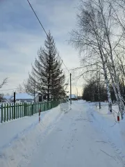 Земельный участок, 1500 кв.м, Республика Башкортостан, кадастровый номер: 02:52:080502:141, виды разрешенного использования: Для ведения садоводства, местоположение: Республика Башкортостан, Чишминский р-н, с/с Ибрагимовский, тер СНО Нива-Вишневка, уч 533, площадь: 1500 +/- 27 кв.м. Имущество…