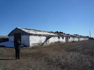 Нежилое здание - телятник, кад. № 74:11:0904003:175, инвентарный №5795, S=1817,30 кв.м., Челябинская обл., Кизильский район, п. Урал, ул. Строительная, 26, с правом аренды земельного участка с кад. № 74:11:0905003:2, земли населенных пунктов, для индивидуального животноводства, S=10490 кв.м…