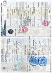Nissan Tiida 2006, Легковой автомобиль марки Nissan Tiida, 2006 года выпуска, VIN отсутствует, № кузова NC11-117464, цвет серый, ГРЗ M514MT14, ПТС № 25 УМ 342059