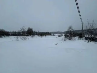 1/2 доля в общей долевой собственности на земельный участок площадью 1583 кв.м, кадастровый номер: 50:03:0050380:2001. Категория земель: земли сельскохозяйственного назначения. Виды разрешенного использования: для дачного строительства. Местоположение установлено относительно ориентира в границах…
