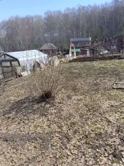 Нежилое здание (гараж) 36,3 кв.м Кемеровская область - Кузбасс Здание нежилое (гараж), площадью 36,3 кв.м. Кадастровый номер 42:23:0601001:818. Адрес: Российская Федерация, Кемеровская область - Кузбасс, м.о. Гурьевский, г Гурьевск, тер. гаражного массива Ю.Гагарина, г-ж 29 Имущество, указанное…
