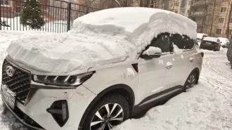 Chery Tiggo7 Pro Max 2023 Chery Tiggo 7 Pro Max, 2023 года, 146,8 лс, 67133 км, АКПП еще Chery Tiggo 7 Pro Max, 2023 года, 146,8 лс, 67133 км, АКПП еще Легковой автомобиль, марка: CHERY; модель: TIGGO7 PRO MAX Т32; год изготовления: 2023 г.в.; VIN: LVVDB21B6PD377187; государственный регистрационный…