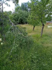 Земельный участок, 572 кв.м, СНТ "Оргстрой", линия 8, уч. 208, Ленинградская область, адрес: Ленинградская область, Волховский муниципальный район, Кисельнинское сельское поселение, массив Пупышево, СНТ "Оргстрой", линия 8, уч. 208, кадастровый номер 47:10:1339006:16.