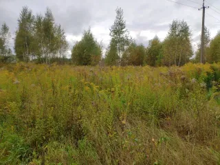 Земельный участок 848+/-10 кв.м. Тульская область Земельный участок в Туле, 848+/-10 кв.м. с кадастровым номером: 71:14:040301:4915, расположенный по адресу: Российская Федерация, Тульская область, город Тула г.о, д. Ямны.