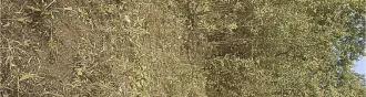 Земельный участок с кадастровым номером 72:01:0104001:594, площадью 493 +/  16 кв. м, расположенный по адресу: Тюменская область, Абатский район, территория СНТ «Строитель», ул. № 7, участок 18, с расположенным на нем кирпичным строением  дачный дом  площадью 16 кв. м. Земельный участок с…