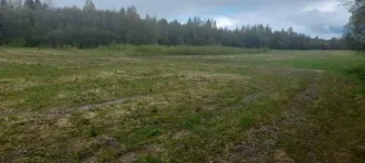 Земельный участок в Вологодской области, площадь 56000 +/- 83 кв.м. Категория земель: земли сельскохозяйственного назначения, назначение: для сельскохозяйственного производства. Адрес: Россия, Вологодская область, Устюженский район. Кадастровый номер: 35:19:0310001:289.