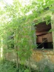 Нежилое здание - новосельский медицинский пункт, общая площадь 81,7 кв.м, этажность: 1, год постройки - 1972, кадастровый номер 46:25:220401:156, расположенное по адресу: Курская область, Фатежский р-он, Верхнелюбажский с/с, д. Новоселки; Земельный участок из категории земель - земли населенных…
