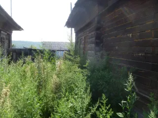 Помещение 69,2 м², Шушенский р-н, Красноярский край. Адрес: 662731, Красноярск, Шушенский р-н, Шунеры с, Ленина ул, дом № 25. Общая площадь 69.2. Назначение нежилого помещения: свободное назначение, за исключением почтовой и логистической деятельности, в том числе деятельности по отправке и…