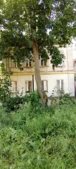 Нежилое здание, назначение: нежилое, площадью 259,3 кв.м, кадастровый номер 18:30:000279:59, расположенное по адресу: Удмуртская Республика, городской округ город Сарапул, город Сарапул, улица Первомайская, дом 53а, с земельным участком, занимаемым зданием площадью 646 кв.м., кадастровый номер…