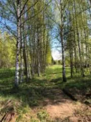 Земельный участок, 76:09:093401:2343, Ярославская обл., Некрасовский р-н, с/о Климовский, 1534 +/-27 кв.м.