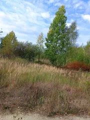 1/4 доля земельного участка 600 кв.м, ИЖС, Тамбовская обл, Моршанск. 1/4 доля в праве на земельный участок, площадь: 600кв.м, кадастровый номер: 68:27:0000151:290, категория земель: земли населенных пунктов, вид разрешенного использования: для индивидуального жилищного строительства, адрес…