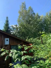 Земельный участок 764 кв.м., ХМАО-Югра. Категория земель: земли сельскохозяйственного назначения, разрешенное использование: под садоводство. Находится по адресу: Ханты-Мансийский автономный округ - Югра, р-н Нефтеюганский, урочище «Сингапайский остров», район КНС-7, СНТ «Энергетик», участок № 56…