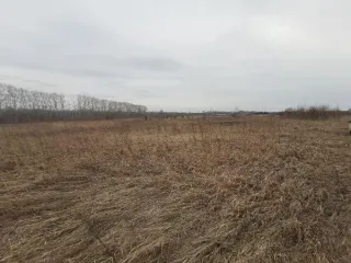 Земельный участок кадастровый номер 42:24:0301008:595, реестровый номер 853541, площадью 20 631 кв.м, расположенный по адресу: Кемеровская область - Кузбасс, город Кемерово, Кировский район. Категория земель: земли населенных пунктов. Разрешенное использование: код 1.15 «хранение и переработка…