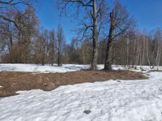 Земельный участок 2000 кв.м, Московская область, кадастровый номер 50:33:0030447:592, основной вид разрешенного использования 2.2.