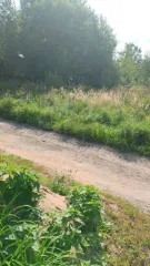 Здание 8 кв.м и земельный участок 800 кв.м в Калужской области, Боровский район, деревня Шемякино. Участок для ведения личного подсобного хозяйства, площадь 800 +/-12 кв.м, кадастровый номер 40:03:050801:578. Нежилое здание площадью 8 кв. м, кадастровый номер 40:03:050801:779. Доля в праве…