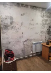 Дом 41,9 кв.м и участок 515 кв.м, Самарская область. Жилое здание, площадь: 41,9 кв.м., кадастровый номер: 63:21:0103003:220 и земельный участок, площадь: 515 кв.м., категория земель: земли населенных пунктов, разрешенное использование: для ведения личного подсобного хозяйства, кадастровый номер…