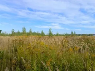 Земельный участок 1210 кв.м, Московская область, городской округ Кашира, д. Тарасково. Категория земель: «земли населенных пунктов», вид разрешенного использования «для индивидуального жилищного строительства». Основной вид разрешенного использования: 2.1. Площадь земельного участка в соответствии…
