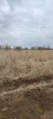 Земельный участок площадью 700 кв.м. Кадастровый номер: 50:23:0050573:1520. Категория земель: земли сельскохозяйственного назначения. Виды разрешенного использования: ведение садоводства. Местоположение: Российская Федерация, Московская область, городской округ Раменский, деревня Аргуново.