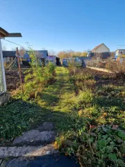 Доля дома и земельного участка в Московской области. 1/2 доля жилого дома и 1/2 доля земельного участка с кадастровым номером 50:37:0040313:174, а также ½ доли в праве на жилой дом с кадастровым номером 50:37:0000000:8644. Адрес: Московская область, Каширский район, п. Маслово, ул. Центральная, д…