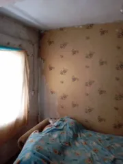 Жилой дом 27,7 кв.м и участок 1551+/-28 кв.м в Новосибирской обл., с. Дубровка. Земельный участок, площадь 1551 +/- 28 кв.м., назначение: для ведения личного подсобного хозяйства, адрес (местонахождение): Россия, обл Новосибирская, р-н Маслянинский, с. Дубровка, Ленина, участок 23, кадастровый…